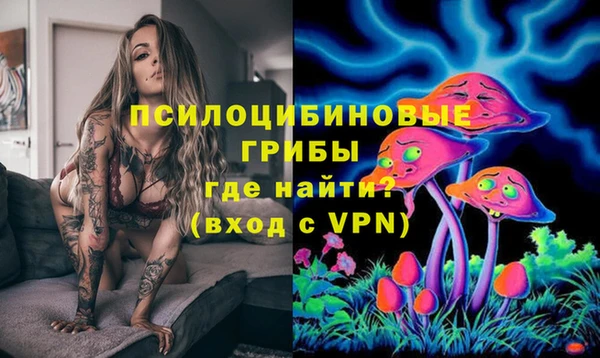 эйфоретик Аркадак
