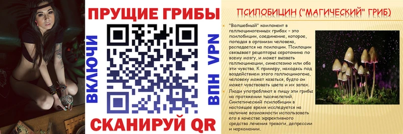 гидра зеркало  Пласт  Псилоцибиновые грибы MAGIC MUSHROOMS 